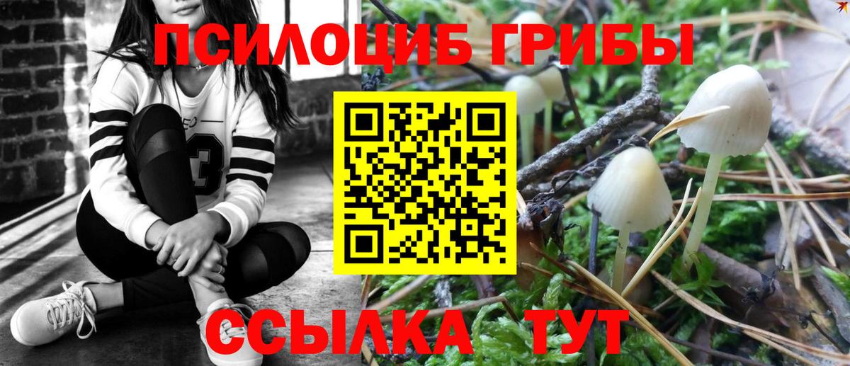 Галлюциногенные грибы прущие грибы  Вход с VPN  Галлюциногенные грибы мухоморы  Комсомольск-на-Амуре 