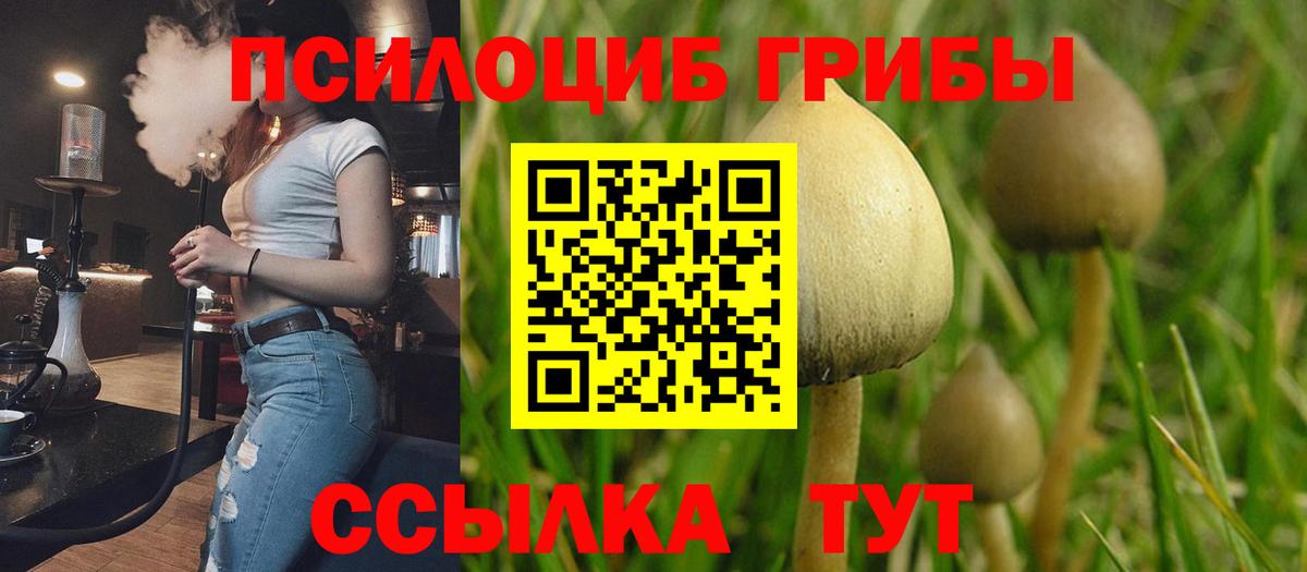 Псилоцибиновые грибы прущие грибы Комсомольск-на-Амуре